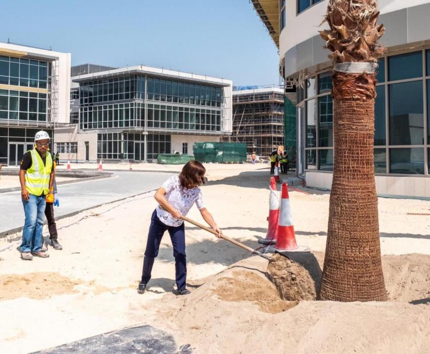 AUBH President Plants First Palm Tree on Campus