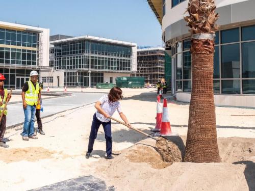 AUBH President Plants First Palm Tree on Campus